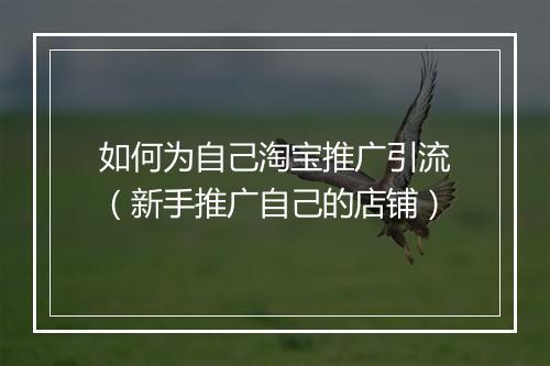 如何为自己淘宝推广引流（新手推广自己的店铺）