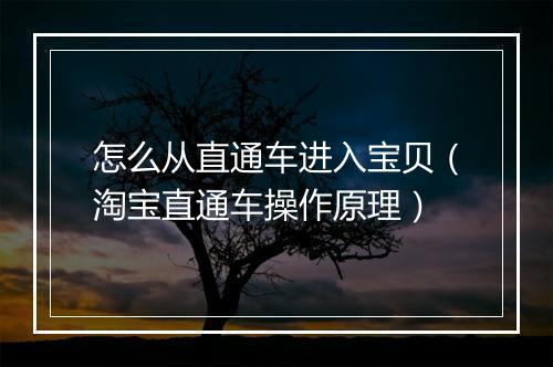 怎么从直通车进入宝贝（淘宝直通车操作原理）