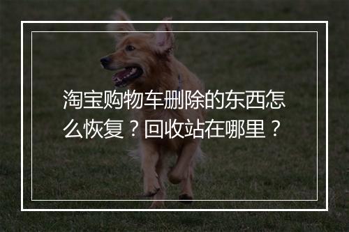 淘宝购物车删除的东西怎么恢复？回收站在哪里？