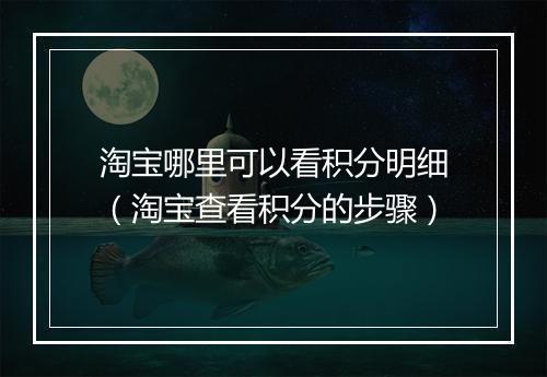 淘宝哪里可以看积分明细（淘宝查看积分的步骤）