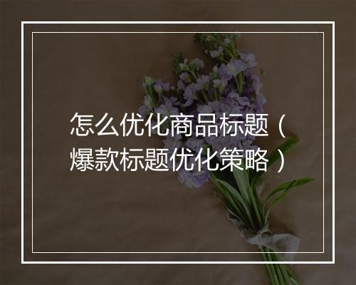 怎么优化商品标题（爆款标题优化策略）
