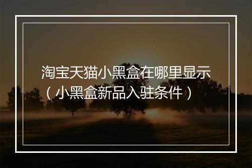 淘宝天猫小黑盒在哪里显示（小黑盒新品入驻条件）