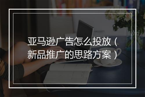 亚马逊广告怎么投放（新品推广的思路方案）