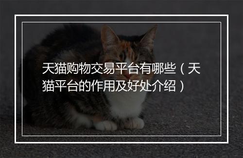 天猫购物交易平台有哪些（天猫平台的作用及好处介绍）