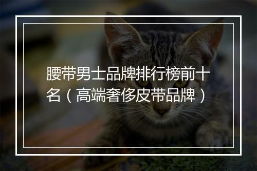 腰带男士品牌排行榜前十名（高端奢侈皮带品牌）