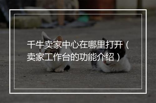 千牛卖家中心在哪里打开（卖家工作台的功能介绍）
