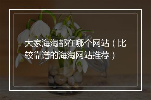 大家海淘都在哪个网站（比较靠谱的海淘网站推荐）