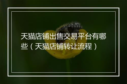 天猫店铺出售交易平台有哪些（天猫店铺转让流程）