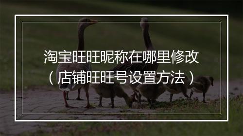 淘宝旺旺昵称在哪里修改（店铺旺旺号设置方法）