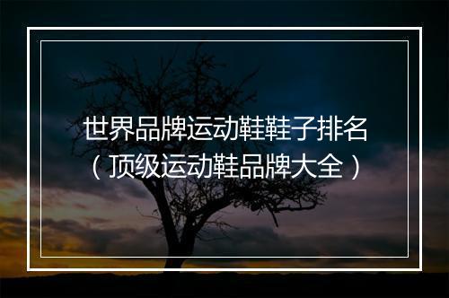 世界品牌运动鞋鞋子排名（顶级运动鞋品牌大全）