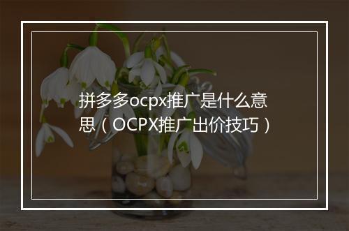 拼多多ocpx推广是什么意思（OCPX推广出价技巧）