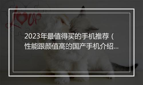 2023年最值得买的手机推荐（性能跟颜值高的国产手机介绍）