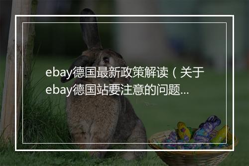 ebay德国最新政策解读（关于ebay德国站要注意的问题）