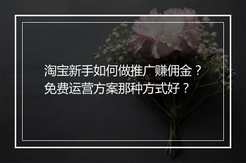 淘宝新手如何做推广赚佣金？免费运营方案那种方式好？