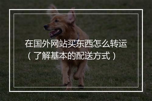 在国外网站买东西怎么转运（了解基本的配送方式）