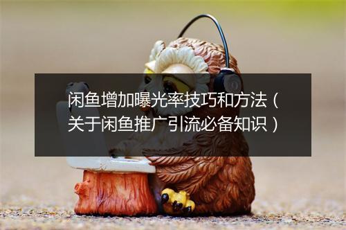 闲鱼增加曝光率技巧和方法（关于闲鱼推广引流必备知识）
