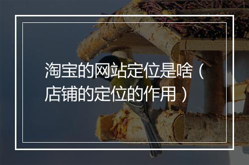 淘宝的网站定位是啥（店铺的定位的作用）