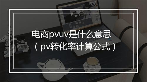 电商pvuv是什么意思（pv转化率计算公式）