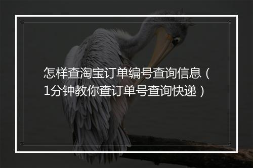 怎样查淘宝订单编号查询信息（1分钟教你查订单号查询快递）