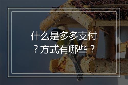 什么是多多支付？方式有哪些？