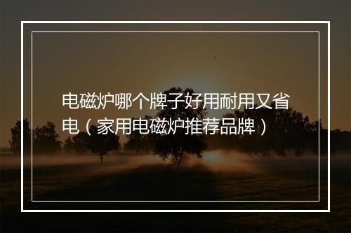 电磁炉哪个牌子好用耐用又省电（家用电磁炉推荐品牌）