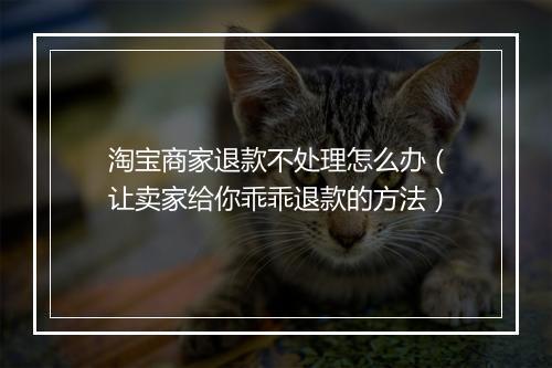 淘宝商家退款不处理怎么办（让卖家给你乖乖退款的方法）