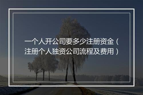 一个人开公司要多少注册资金（注册个人独资公司流程及费用）