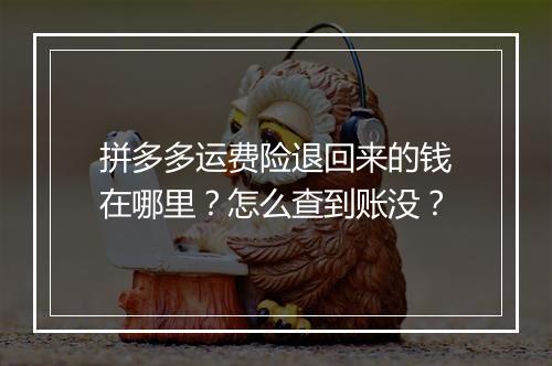 拼多多运费险退回来的钱在哪里？怎么查到账没？