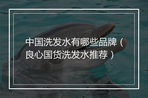 中国洗发水有哪些品牌（良心国货洗发水推荐）