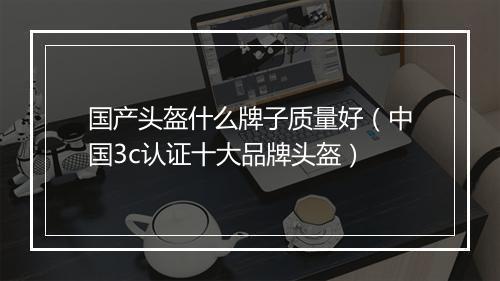 国产头盔什么牌子质量好（中国3c认证十大品牌头盔）