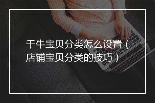 千牛宝贝分类怎么设置（店铺宝贝分类的技巧）