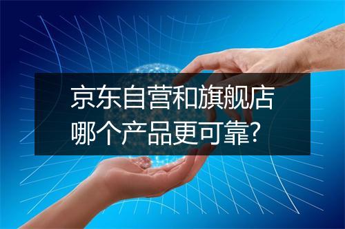 京东自营和旗舰店哪个产品更可靠?