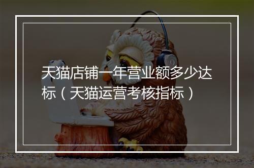 天猫店铺一年营业额多少达标（天猫运营考核指标）