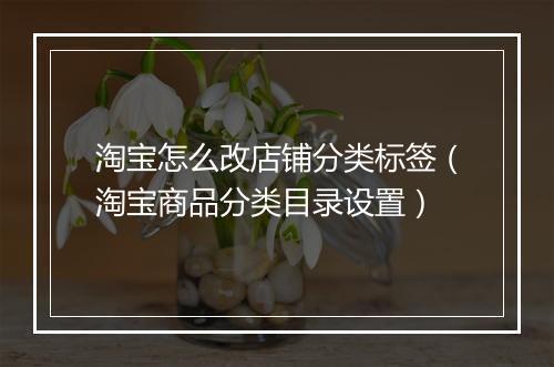 淘宝怎么改店铺分类标签（淘宝商品分类目录设置）