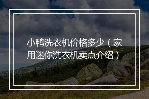 小鸭洗衣机价格多少（家用迷你洗衣机卖点介绍）