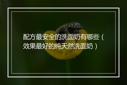 配方最安全的洗面奶有哪些（效果最好的纯天然洗面奶）