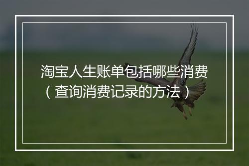 淘宝人生账单包括哪些消费（查询消费记录的方法）