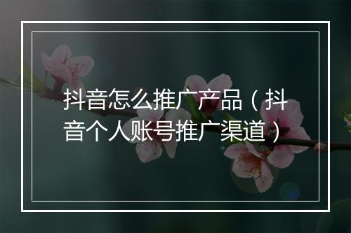 抖音怎么推广产品（抖音个人账号推广渠道）