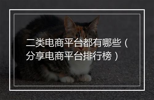 二类电商平台都有哪些（分享电商平台排行榜）