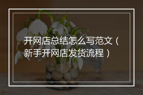 开网店总结怎么写范文（新手开网店发货流程）