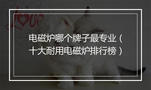 电磁炉哪个牌子最专业（十大耐用电磁炉排行榜）