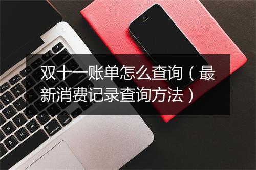 双十一账单怎么查询（最新消费记录查询方法）