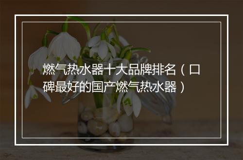 燃气热水器十大品牌排名（口碑最好的国产燃气热水器）