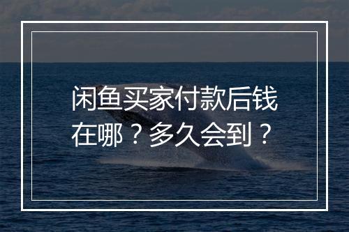 闲鱼买家付款后钱在哪？多久会到？