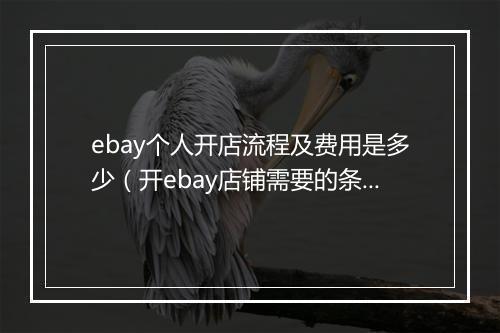 ebay个人开店流程及费用是多少（开ebay店铺需要的条件）