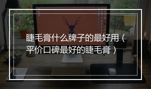 睫毛膏什么牌子的最好用（平价口碑最好的睫毛膏）