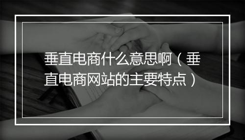 垂直电商什么意思啊（垂直电商网站的主要特点）