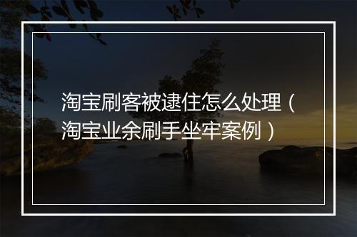 淘宝刷客被逮住怎么处理（淘宝业余刷手坐牢案例）