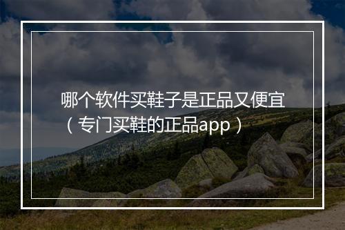 哪个软件买鞋子是正品又便宜（专门买鞋的正品app）