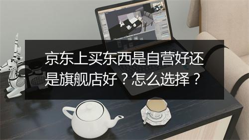 京东上买东西是自营好还是旗舰店好？怎么选择？